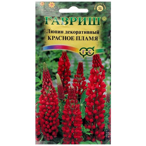 ������ ������ ������ ������ ����� ������� ����� 0,5 � ����