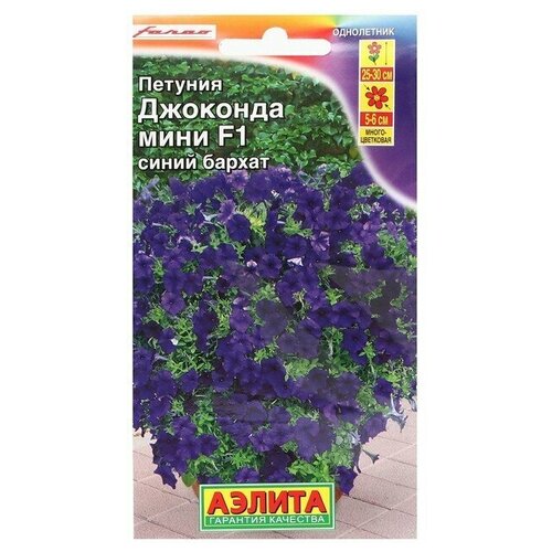 ������ ������ ������ ������� �������� ���� F1 ����� ������, 7 �� ����