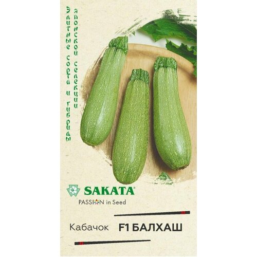 ������ ������ ������ ������� ������ F1 5�� ������ (������) ������ ��������� �22 ����