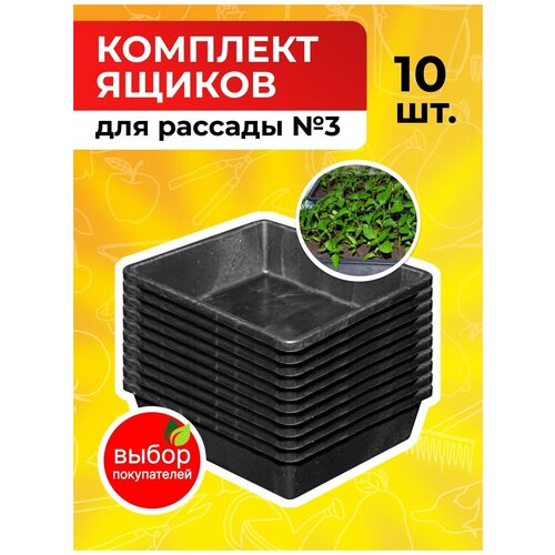 ������ ������ ���� ��� ������� �������� �3, ������, �������, 10 ���� ����