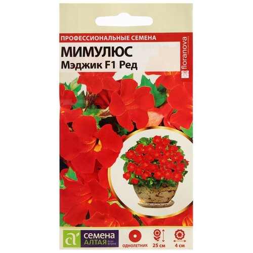 ������ ������ ������ ������ ����� ������� ������ F1 ���,10 ��. ����