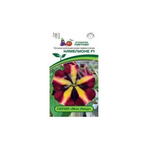 ������ ������ ������ ������� �������������� ������������ 