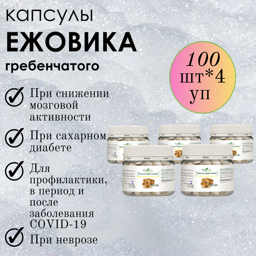 ������ ������ ������ ���� ����������� � �������� ����-��������, ����������� ������� ������� 100 ��*5 �������� ����