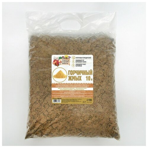 ������ ������ ��������� ���� 