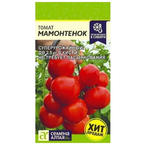 ������ ������ ���������� (������ �����), ������ ������, 5 ����� ����