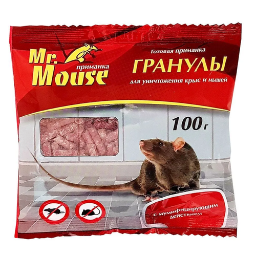       100  .      1. Mr.Mouse   -     , -,   