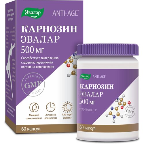 ������ ������ �������� ����., 100 �, 60 ��. ����