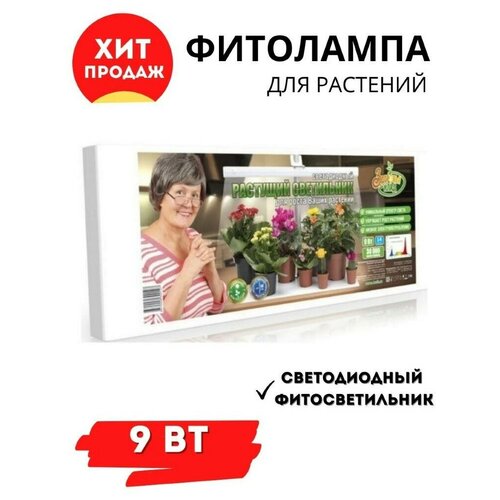   led  Zdorovya Klad/9          -     , -,   