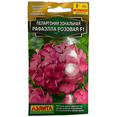 ������ ������ ������ ��������� ������ ���������� �������� F1 ������� 5 ��. ����