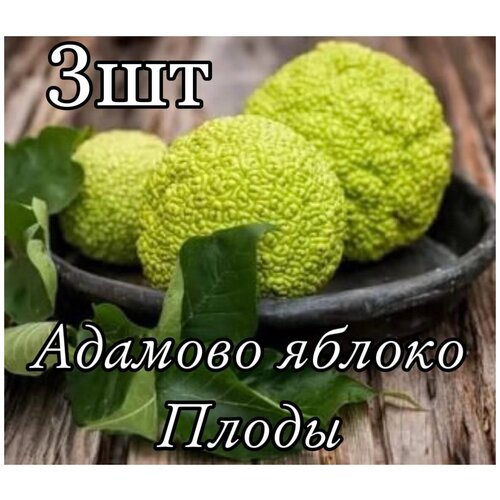 ������ ������ ������� ������� ������ ����