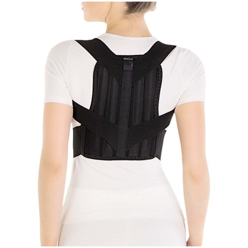 ������ ������ ��������� ������ ������ �.54.01, ������ M, ���� 150-168, ������ 30 ��, ������ ����