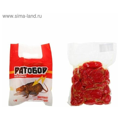 ������ ������ �����-������� �� �������� 