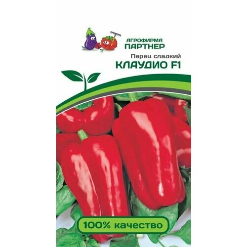 ������ ������ ����� ������� ������ ������� ������ ������� (1 ��������-5 �� �����) ����