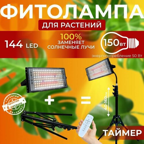 ������ ������ ��������� ��� ����������� �������� ������� ������ ������, �������������� ������������, ����� ��������� ��� ������ �� �������, ������ ����� �� ����