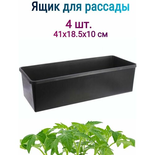 ������ ������ ���� ��� ������� 41�18,5�10�� 