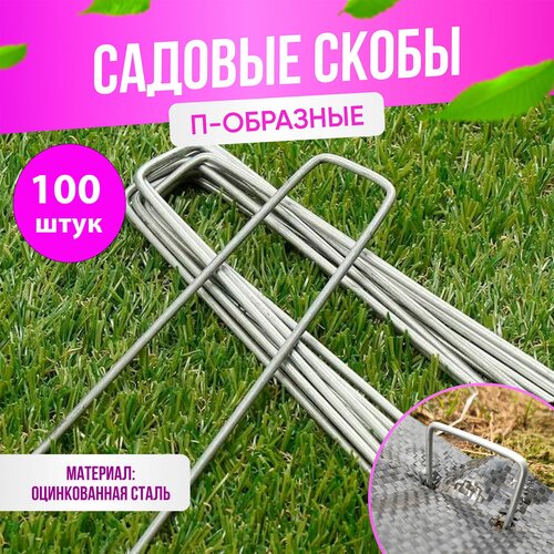 ������ ������ ����� ������� ��� ��������� ��������� ������������ �-�������� 30*150�� 100 ���� ����