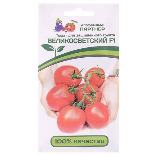 ������ ������ ������ ����� 