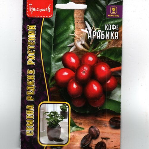 ������ ������ ���� �������, ��������� ������ ( 1 ��: 5 ����� ) ����