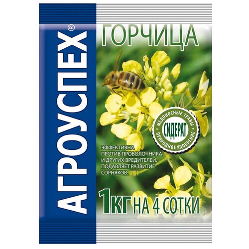 ������ ������ ������ ��������� ������� �����, 1 �� ����