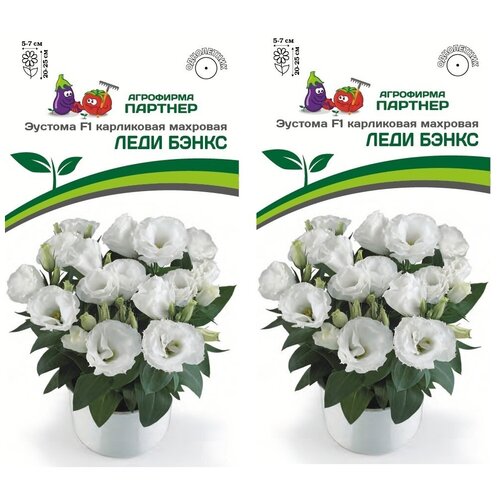 ������ ������ ������ ������� ���������� �������� ���� ����� F1 /��������� �������/ 2 �������� �� 5 ����� ����