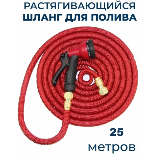 ������ ������ ����� ��� ������ ��������������� 25 �, ������� � ������������ �� ���� ����