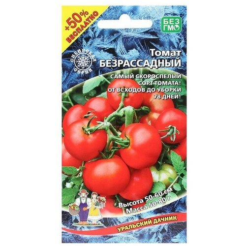 ������ ������ ������ ����� 