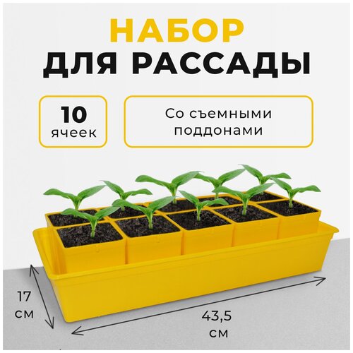 ������ ������ ����� ��� ������� � ��������, 10 ������� �� 0.5 � ����