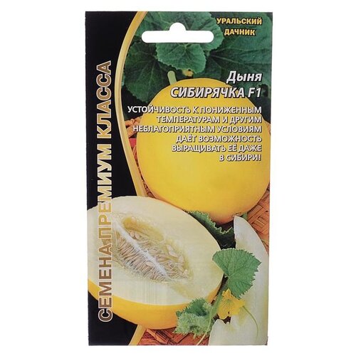 ������ ������ ������ ��������� ������ ���� ��������� F1, 10 ��. ����