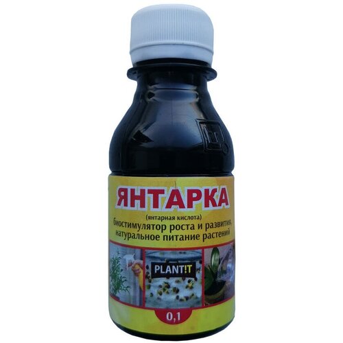 ������ ������ ��������� �������� ������� 