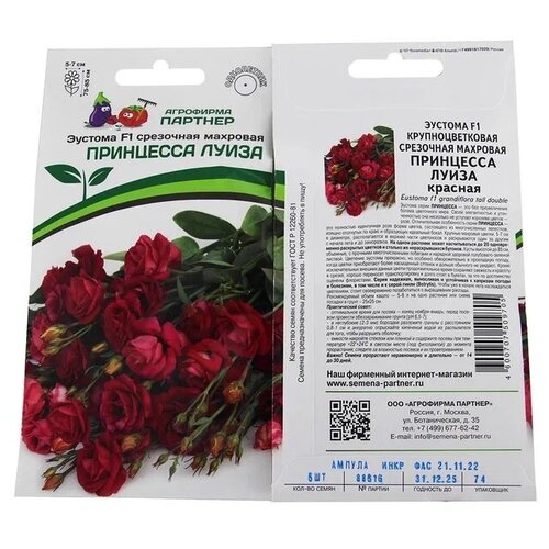 ������ ������ ������ ������� ��������� ����� F1 /��������� �������/ 2 �������� �� 5 ����� ����