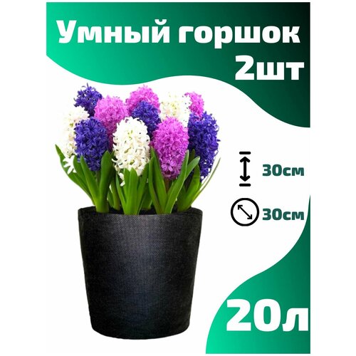     , ,  Smart Pot - 20  2 .   -     , -,   