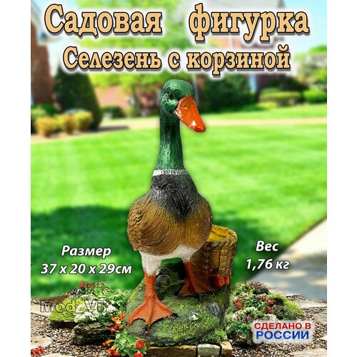 ������ ������ ������� ������� �������� � ��������, ����� ��� ����, ���� � ������� ����