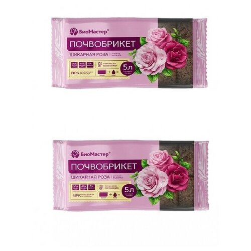 ������ ������ ����������� ��������� �������� ���� 5�, �������� 2 ����� ����