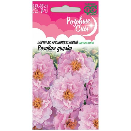 ������ ������ ������ �������� ������� �����, 0,01�, ������, ������� ���, 10 �������� ����