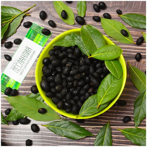 ������ ������ ���� ������ ������, ������, 5 �� ����