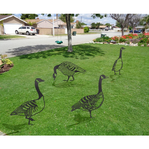 ������ ������ ����� ������ �� ������� ��� ����, ���� 