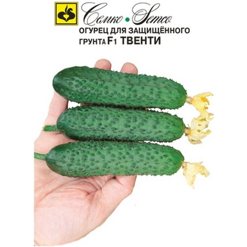 ������ ������ ������ ������ F1 ������ (�� ������ �������) 10 ���� ����� ����� ����