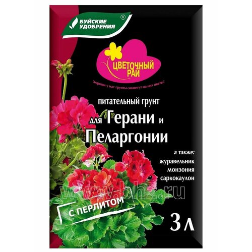 ������ ������ ����� ��� ������ � ���������� 3� ����