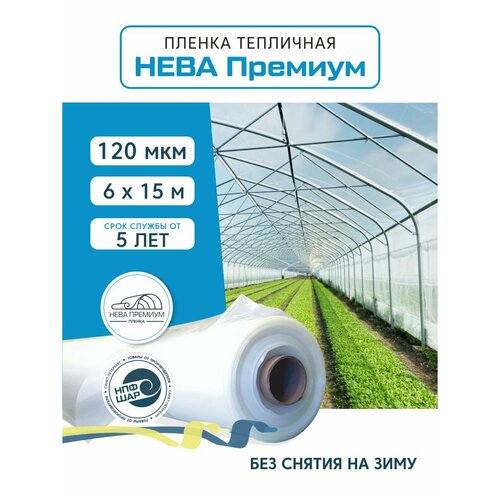 ������ ������ ������ ��� ������ � �������� ���� ������� 120 ���, 6�15 � ����