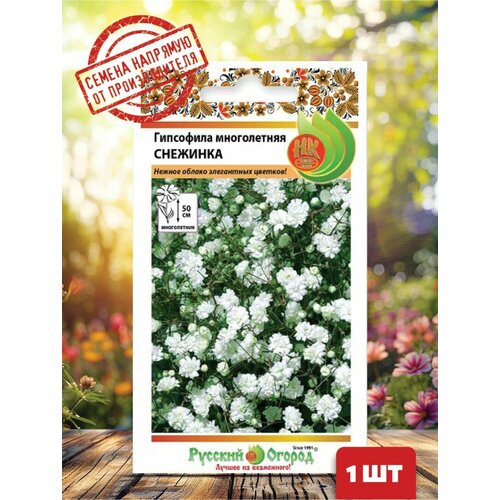 ������ ������ ������ ��������� �������� ����