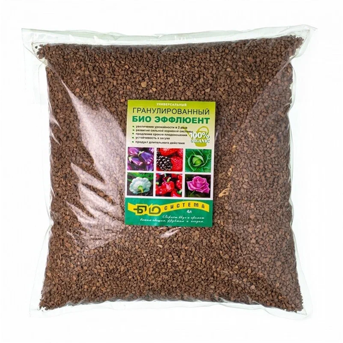 ������ ������ ��������������� �������� 4 � (���-�������) ����