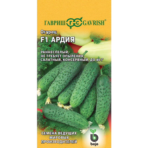 ������ ������ ������ ������ ����� F1 8�� ������ (������) ��������� ����