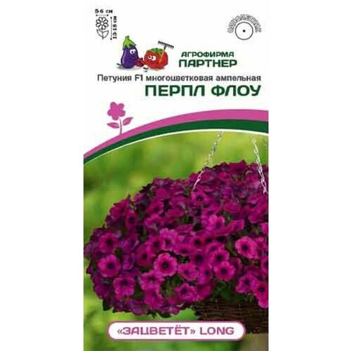 ������ ������ ������ ������� �������������� ��������� 