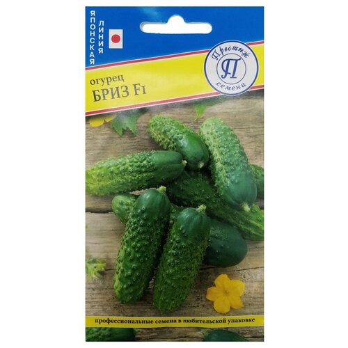 ������ ������ ������ ������ 