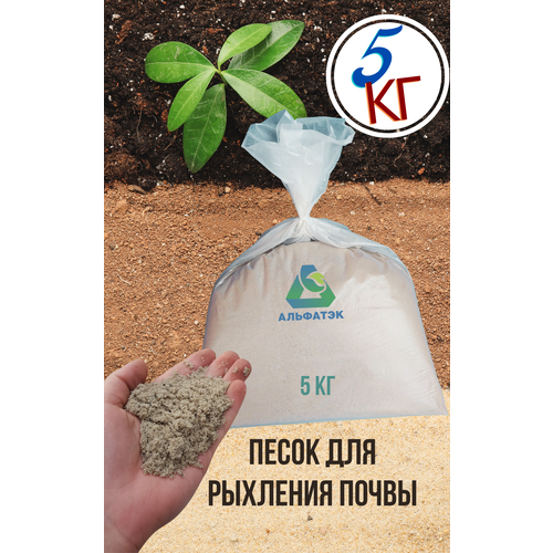 ������ ������ ����� ��� �������� ������ (�����), ��� ����������, ��� �������� (������, ����� � ��.), ����� 5 �� ����