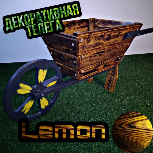    LEMON     -     , -,   