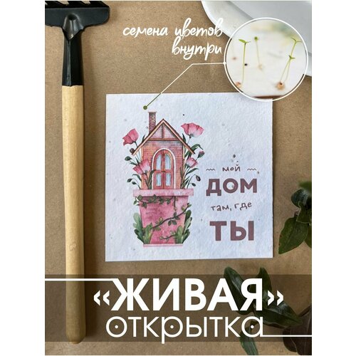 ������ ������ 