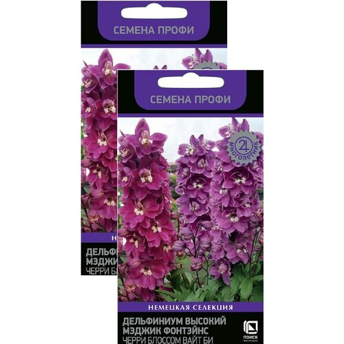 ������ ������ ���������� ������� ������ �������� ����� ������� ���� �� (10 �����) ����