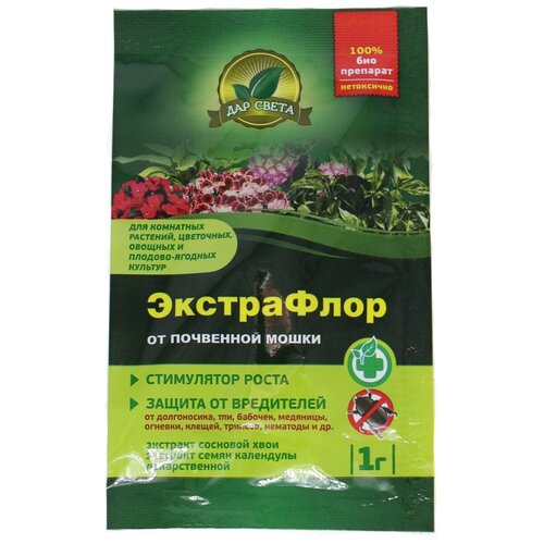 ������ ������ ���������� 1� ������ ���� (�6 ��������� �����) ����