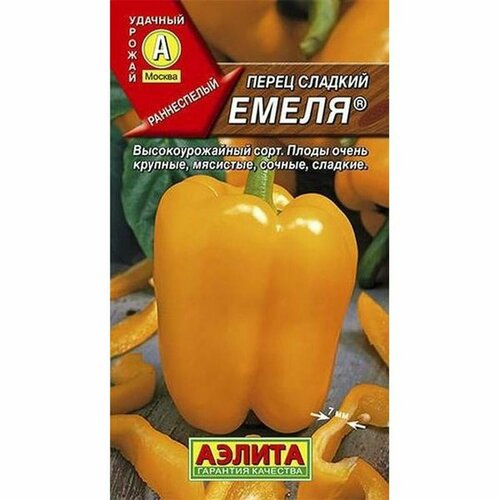 ������ ������ ������ ����� ������� �����, �����������, (������) 20�� ����